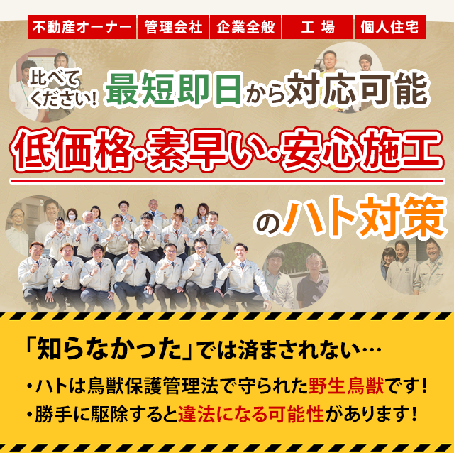 はと