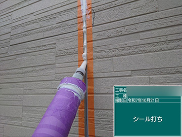 シーリング：打設